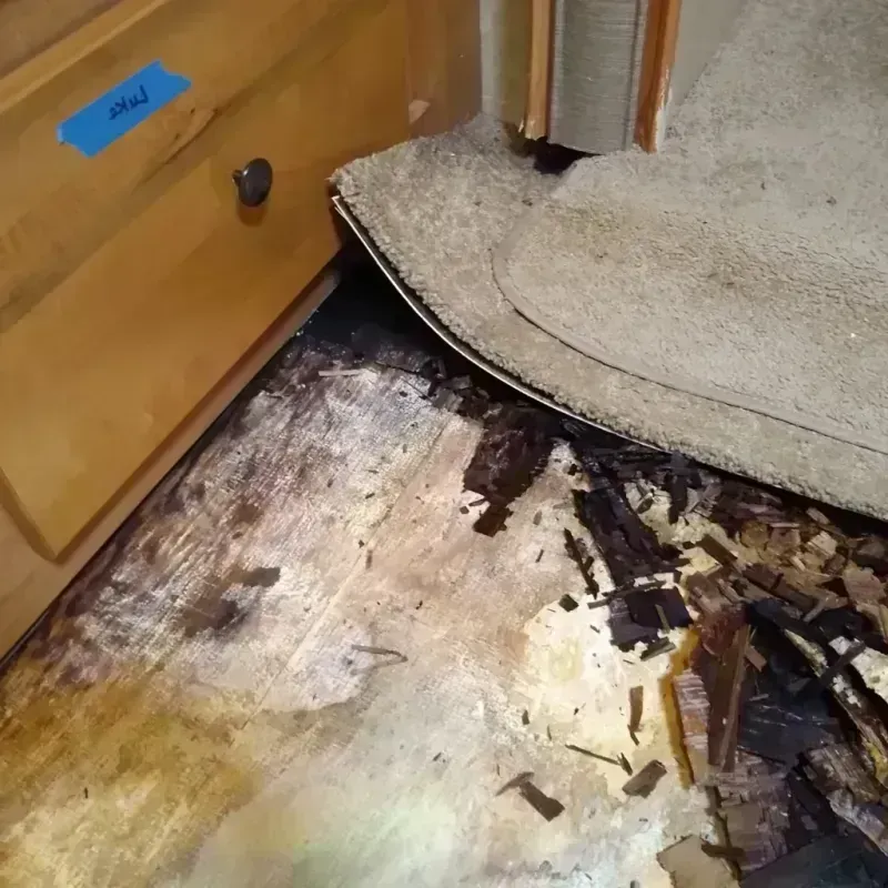 Best Wood Floor Water Damage Service in Del Rio, CA